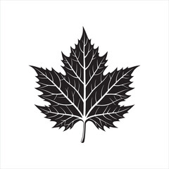 Black Leaf Silhouette on White Background