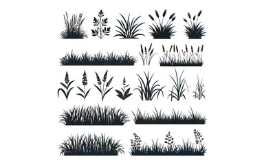 grass vector