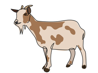 Goat in continuous line drawing style on white background.