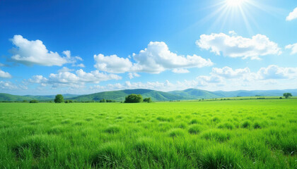 Fototapeta premium Lush green landscape under a bright blue sky with clouds 