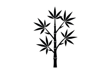 Obraz premium Bamboo tree silhouette on white background