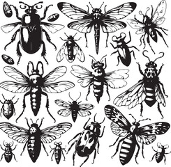 Insect and Beetle Vector Illustration