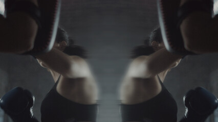 Mirror Reflected Transition With Media Replacements