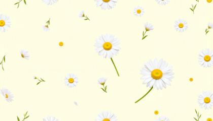 Obraz premium seamless pattern with camomiles