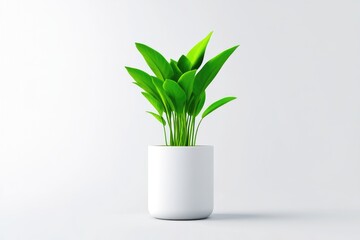 A vibrant houseplant in a simple white pot.  Fresh, healthy, and minimalist aesthetic