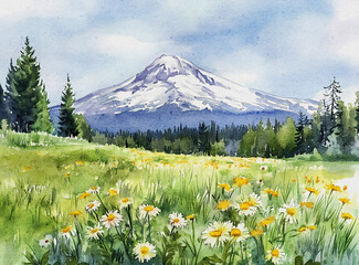 Fototapeta premium alpine meadow with wildflowers