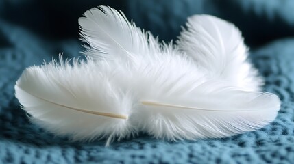 Naklejka premium Two Delicate White Feathers Resting Gently on Blue Fabric