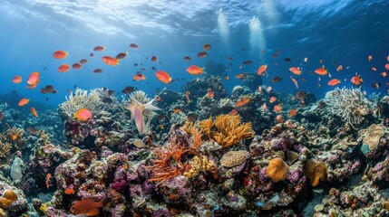 Naklejka premium Vibrant coral reef teeming with diverse fish species.