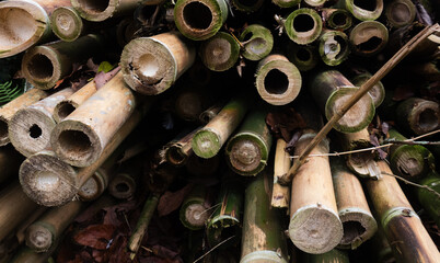 wood texture in high contrast and good resolution	