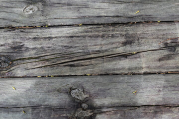 wood texture in high contrast and good resolution	