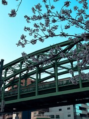 railway bridge in the Japan city