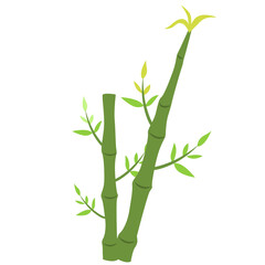 Flat green bamboo illustration with fresh leaves, perfect for Asian, nature, eco, or zen-themed design. Ideal for digital art, branding, or educational content related to plants and sustainability.