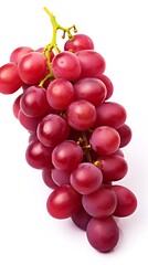 Fototapeta premium Ripe Red Grapes Bunch Fresh Fruits Hanging on Stem Isolated on White Background