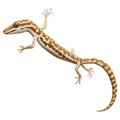 Naklejka premium Gecko Leaping Diagonally with Stretched Legs and Dynamic Motion
