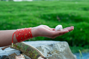 A Hand is Gently Holding a White Object Surrounded by a Beautiful Green Landscape
