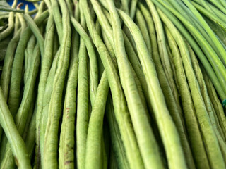 green yard long bean in the market.