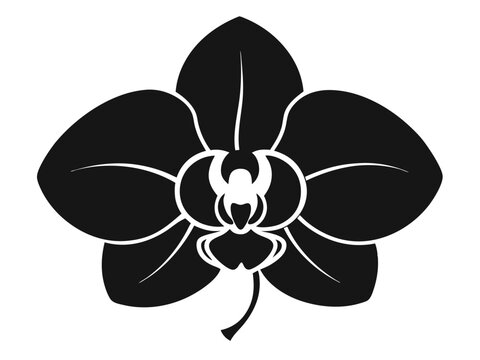 recommend clip art: Orchid Flower Silhouette vector, Orchid Flower icon, Tropical Orchid Silhouette. Floral Vector Illustration