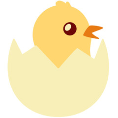 Cute cartoon chick hatching from an egg on a teal background. Perfect for kids' content, Easter designs, animal education, spring themes, and fun character illustrations.