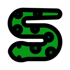sea snake
