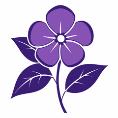 pink orchid isolated on white