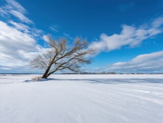 Obraz premium Bare Willow Tree in Winter Landscape with Vast Snow Field and Blue Sky with Clouds Capturing Serenity and Tranquility with a Wide Angle Lens