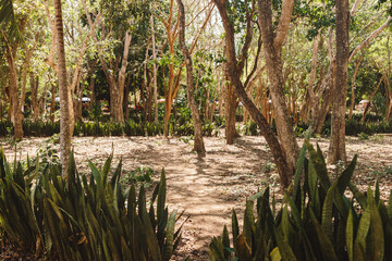 Old architecture. Old city in Mexico on summer day. Large city built by the Maya people of the Terminal Classic period. Temple of Kukulcan, UNESCO World Heritage Sites