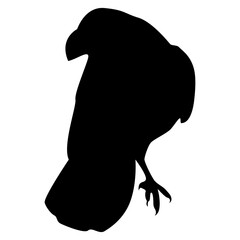 Silhouette of Spooky Halloween Crow. Flat Vector Illustration.