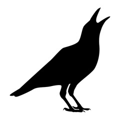 Fototapeta premium Silhouette of Spooky Halloween Crow. Flat Vector Illustration.