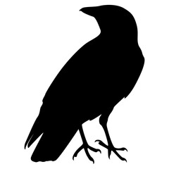 Silhouette of Spooky Halloween Crow. Flat Vector Illustration.