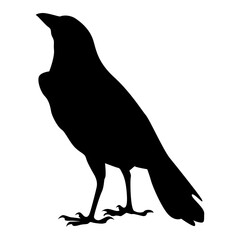 Silhouette of Spooky Halloween Crow. Flat Vector Illustration.