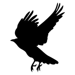 Silhouette of Spooky Halloween Crow. Flat Vector Illustration.