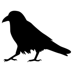 Silhouette of Spooky Halloween Crow. Flat Vector Illustration.