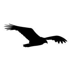 Fototapeta premium Silhouette of Spooky Halloween Crow. Flat Vector Illustration.