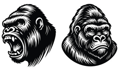 gorilla vector 