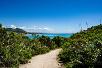 California's Pirate Cove near Pismo Beach in the spring of 2025
