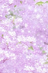 Delicate pastel blossoms, a dreamy floral scene