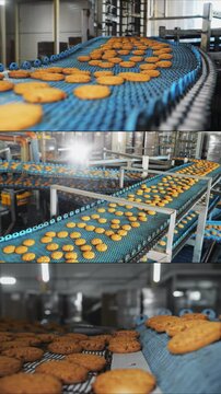 Multi Screen Collage of industrial food factory or bakery, cookies on automated production line or conveyor belt, confectionery plant or bakehouse. Vertical video.