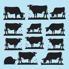 set of black various poses Cow Grazing On Meadow vector silhouettes 