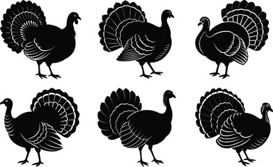 Turkey Silhouette vector