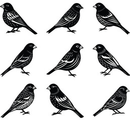 purple finch vector icon