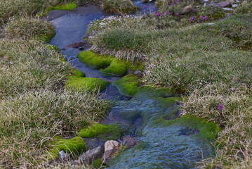 A spring morning in the mountains.