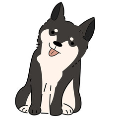 animal, pet, dog, happy, puppy, domestic, canine, cute, isolated, adorable, portrait, doggy, background, sitting, white, friendly, studio, breed, pedigree, looking, cheerful, friend, mammal, vector, f