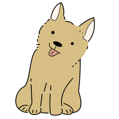 animal, pet, dog, happy, puppy, domestic, canine, cute, isolated, adorable, portrait, doggy, background, sitting, white, friendly, studio, breed, pedigree, looking, cheerful, friend, mammal, vector, f