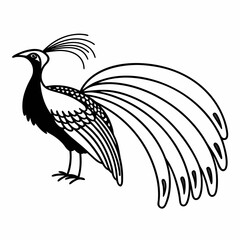 Fototapeta premium bird of paradise
