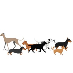 Naklejka premium Flat Design Illustration of Various Dog Breeds Walking Together