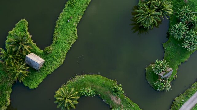 Epic drone shot looking straight down at tropical area with hut, grassy patches and ponds, people sparing in fantasy costumes 