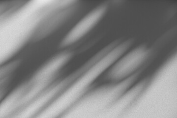 Wall interior background, studio and backdrops show products.with shadow from window color white and grey. background for text insertion and presentation product	