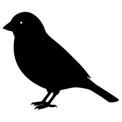 Canary silhouette vector isolated on white background