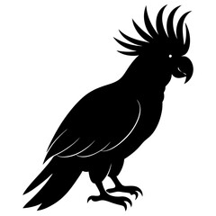 Cockatoo silhouette vector isolated on white background