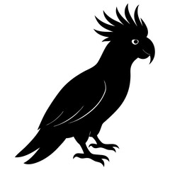 Cockatoo silhouette vector isolated on white background